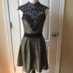 Privy Metallic Dress